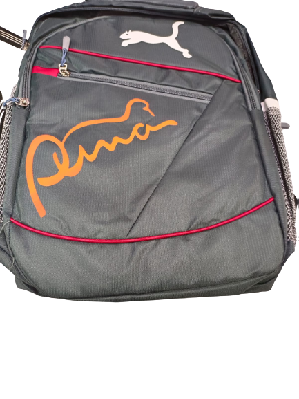 Printed Puma School Bag, For College at Rs 190/piece in Rajkot | ID:  23327342812
