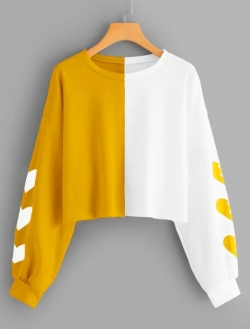 Casual Regular Sleeves Solid Women Yellow Top (crop top with long sleeve)