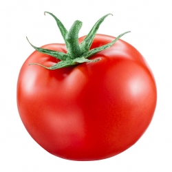 Fresh Tomato Desi, 500 Gm