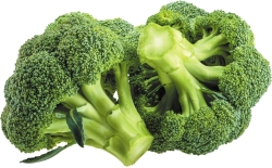 Broccoli_1pcs (Appx wt 300gm)