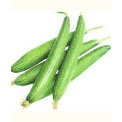 Sponge Gourd (Ninua)_1kg