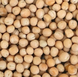 Matar_1 KG
