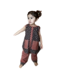 Ajrakh , Indigo , ikkatCotton fabric