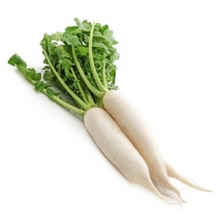 Radish/Mulo,500gm