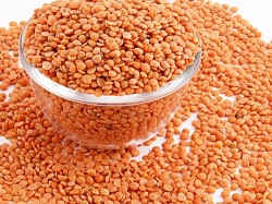 Masoor Dal_Value Pack _500gm