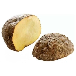 Yam/Oal_500gm
