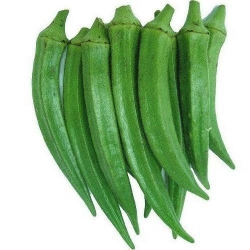 Fresh Bhindi/Ladies Finger /Dharos_500gm