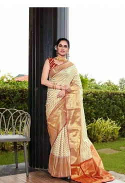 Banarasi Soft Silk Saree