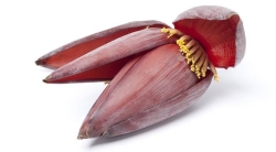 Banana Flower/Mocha_1pcs