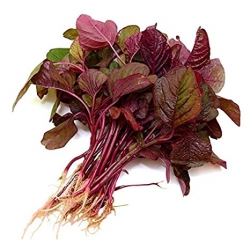 Amaranthus -Red/Note Saag,250gm