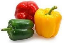 Capsicum_ mix of Red, White and Yellow_500gm