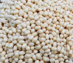 Urad Dal Sada_1 KG