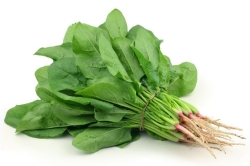 Palak saag_500gm