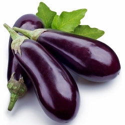 Brinjal / Begun_500gm