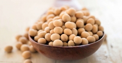 Soyabean_ Value Pack_ 100gm