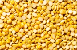 CHANA DAL_1 KG ( LOOSE)