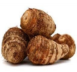 Colocasia /Kachu,500gm