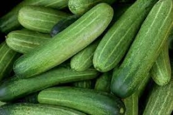 Kheera_1 KG ( CUCUMBER)
