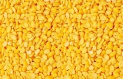 Moong Dal_500 GM