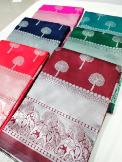 Banarasi Silk with Silver Zari Saree
