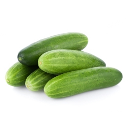 Cucumber /Sosa_500gm