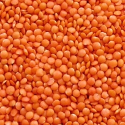 MASOOR DAL_1 KG (LOOSE)