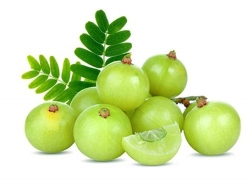 Amla/Aamlaki_500gm