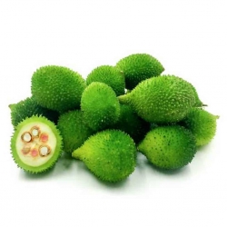 Spine Gourd/Kakrol,250gm