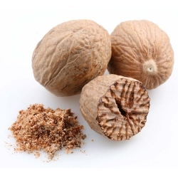 Jaiphal - Nutmeg_Valu Pack 1pcs
