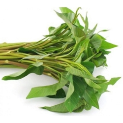 Note Saag_500gm