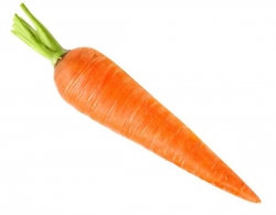 Fresh Carrot, 500gm