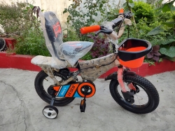 Vesco Fat Bike (Envy) for 3 to 6 Years 14